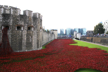 Poppy Installation am Tower, London