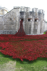 Poppy Installation am Tower, London