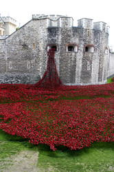 Poppy Installation am Tower, London