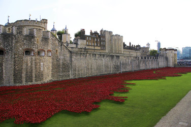 Poppy Installation am Tower, London