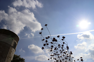 Poppy Installation am Tower, London