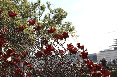 Poppy Installation am Tower, London