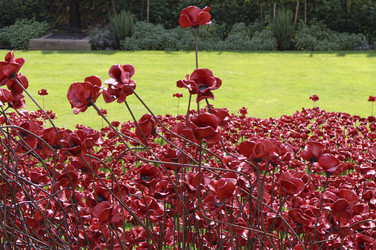 Poppy Installation am Tower, London