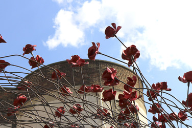 Poppy Installation am Tower, London