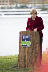 Anglea Merkel pflanzt Baumdenkmal, Bonn