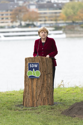 Anglea Merkel pflanzt Baumdenkmal, Bonn