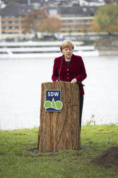 Anglea Merkel pflanzt Baumdenkmal, Bonn
