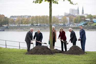 Anglea Merkel pflanzt Baumdenkmal, Bonn