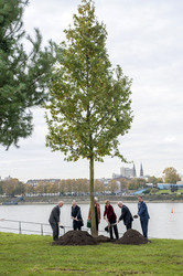 Anglea Merkel pflanzt Baumdenkmal, Bonn