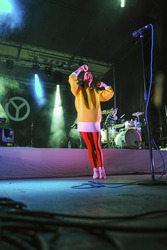 Fun Fun Fun Fest 2014, Austin