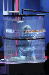 'Wetten, dass..?' TV-Show, Graz