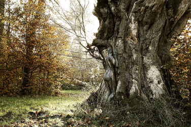 Herbst / Autumn Bodypainting