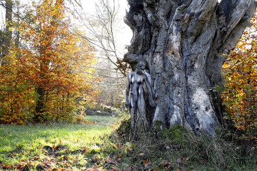 Herbst / Autumn Bodypainting