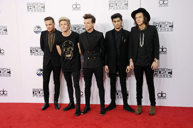 American Music Awards 2014, Los Angeles