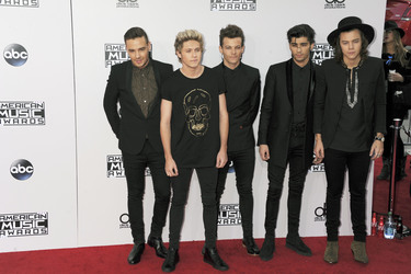 American Music Awards 2014, Los Angeles