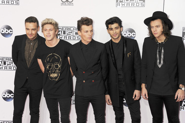 American Music Awards 2014, Los Angeles
