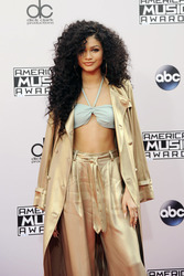 American Music Awards 2014, Los Angeles