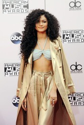 American Music Awards 2014, Los Angeles