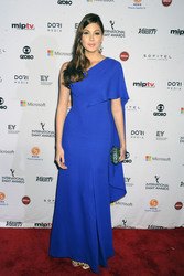 42. International Emmy Awards 2014, New York