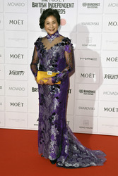 British Independent Film Awards 2014, London