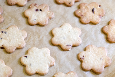 Backen in der Weihnachtszeit