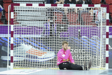 Handball WM-Match Spanien gegen Slowenien, Daho