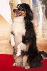 'Fünf Freunde 4' Premiere, München