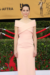 21st Annual Screen Actors Guild Awards, Los Angeles