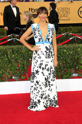 21st Annual Screen Actors Guild Awards, Los Angeles