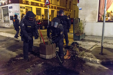 Proteste gegen Akademikerball, Wien