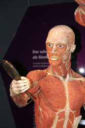Körperwelten Pressetermin, Berlin