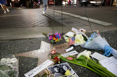 Blumen auf dem Stern von Leonard Nimoy, Hollywood