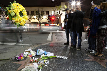 Blumen auf dem Stern von Leonard Nimoy, Hollywood