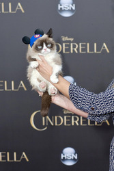 'Cinderella' Premiere, Los Angeles