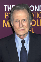 'Best Exotic Marigold Hotel 2' Premiere, New York