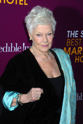 'Best Exotic Marigold Hotel 2' Premiere, New York
