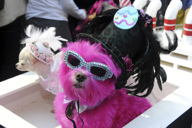 Easter Parade 2015, New York