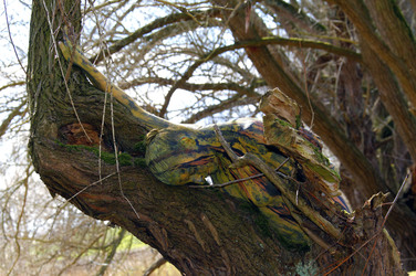 Baum / Tree Body Painting