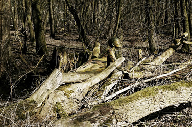 Baum / Tree Body Painting