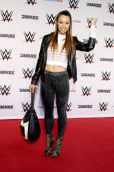 WWE Live Wrestling Event, Hamburg