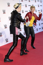 WWE Live Wrestling Event, Hamburg