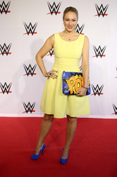 WWE Live Wrestling Event, Hamburg