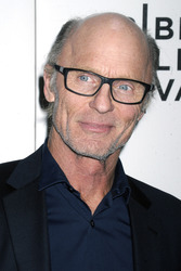 'The Adderall Diaries' Premiere, Tribeca Film Festival 2015