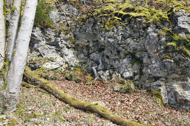 Felswand / Rockface