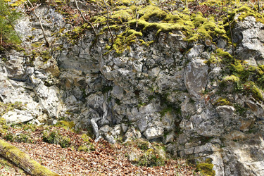 Felswand / Rockface