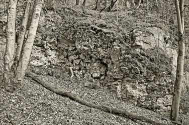 Felswand / Rockface