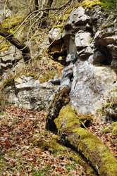 Felswand / Rockface