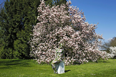 Magnolien / Magnolias Body Painting
