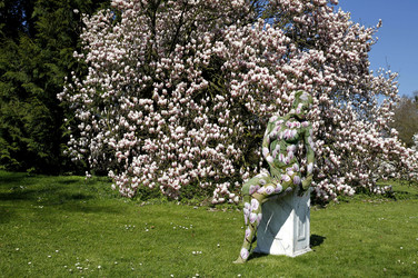 Magnolien / Magnolias Body Painting