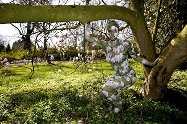 Magnolien / Magnolias Body Painting